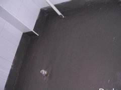 <b>发泡胶可以做防水吗？那可不</b>